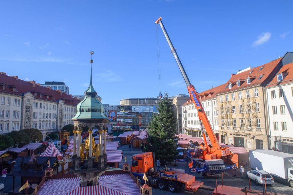 Schon seit Ende Oktober stehen die ersten Buden auf dem Alten Markt vor dem Magdeburger Rathaus. (Archivbild) - Foto: Klaus-Dietmar Gabbert/dpa