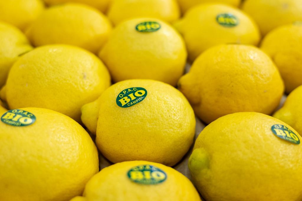 Bei vielen Verbrauchern sind Bio-Lebensmittel beliebt. (Symbolbild) - Foto: Daniel Karmann/dpa