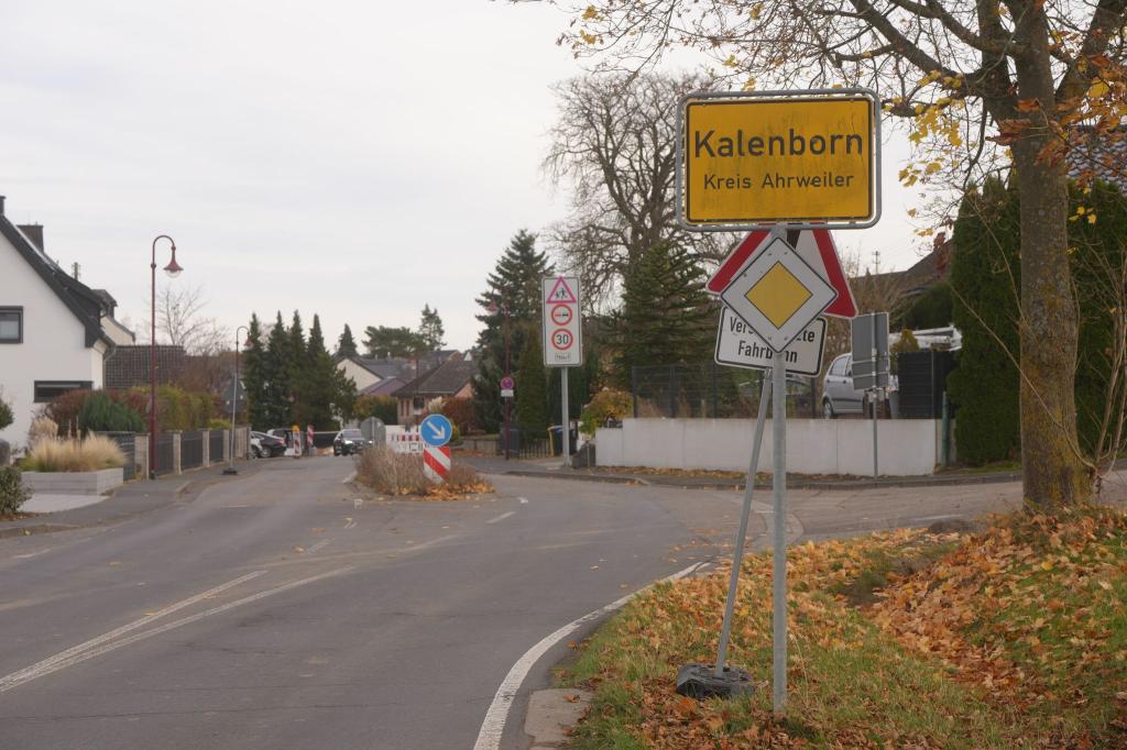 Im Wald bei Kalenborn wird nach einer mutmaßlichen Großkatze gesucht. - Foto: Thomas Frey/dpa