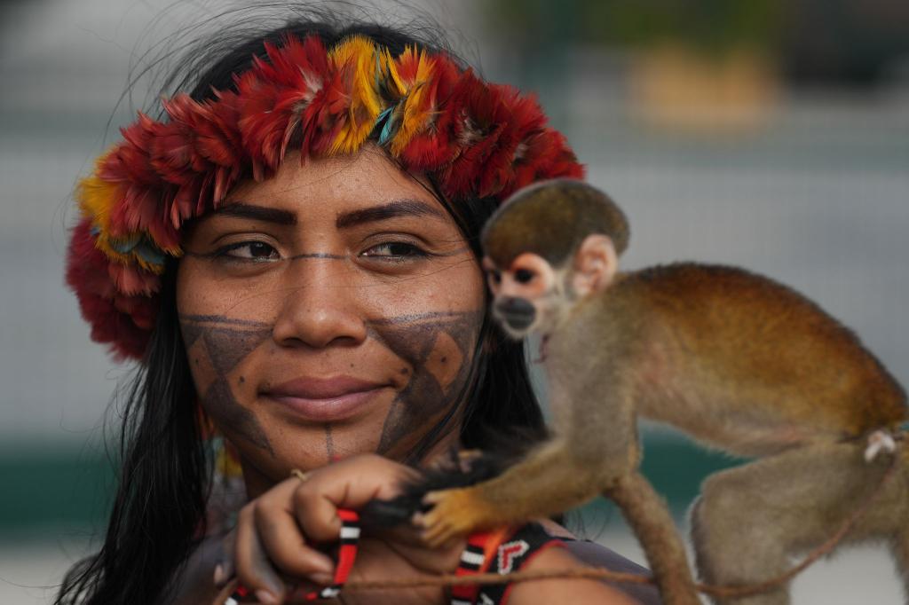 Protest bei COP30: Munduruku-Aktivistin sorgt mit Affen für Aufsehen - Foto: Andre Penner/AP/dpa