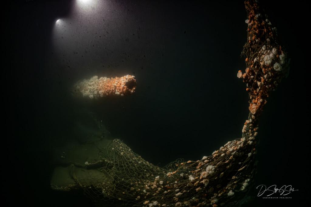 Die Tauchgänge fanden nach Angaben des Teams in großer Tiefe und unter herausfordernden Bedingungen statt. - Foto: Dr. Steffen G. Scholz/ProjectXplore /dpa
