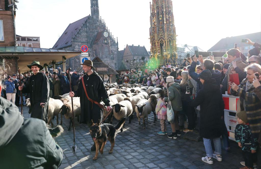 Eine Herde mit 600 Schafen ist in Nürnberg mitten durch die Stadt zu ihren Winterweiden gezogen. - Foto: Daniel Löb/dpa