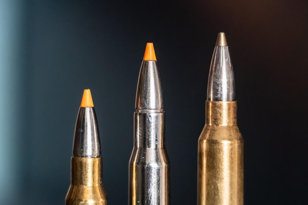 Jagdpatronen im Kaliber 308 Winchester (l-r), 30-06 Springfield und 300 Winchester Magnum stehen bei einem Jäger auf einem Waffenschrank. (Symbolbild) - Foto: Silas Stein/dpa
