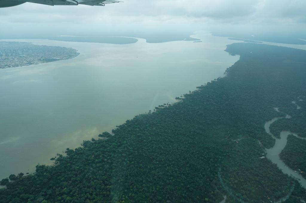 Durch den an die Millionenstadt Belém grenzenden Wald fließt der Fluss Guama. - Foto: Larissa Schwedes/dpa