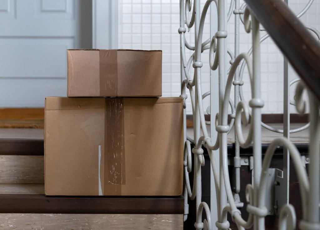 Die Katze hatte sich nach bisherigen Erkenntnissen unbemerkt in den Karton gelegt. (Symbolbild) - Foto: Sven Hoppe/dpa