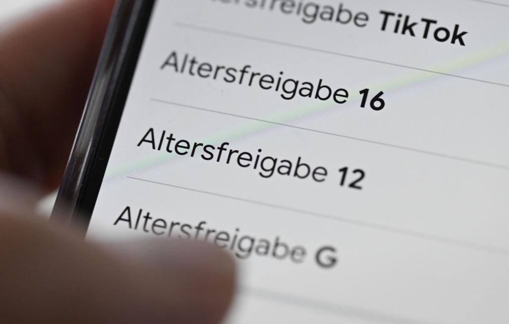 Andere Staaten haben ein Social-Media-Mindestalter bereits beschlossen oder bereiten es vor. (Symbolbild) - Foto: Bernd Weißbrod/dpa