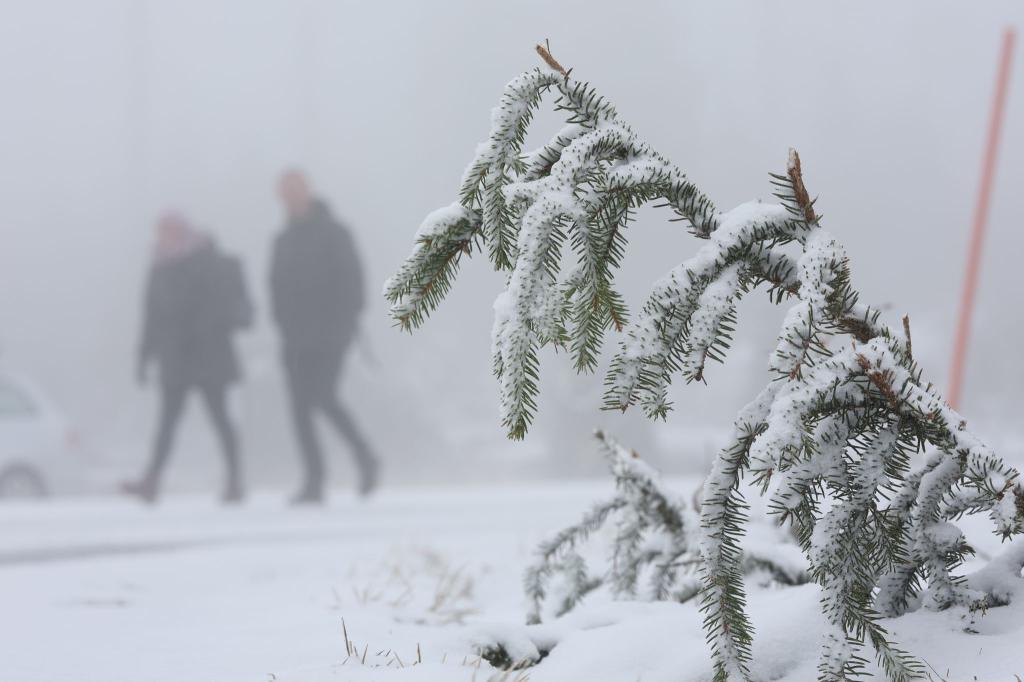 In den Mittelgebirgen wie dem Harz wird am Mittwoch Neuschnee erwartet. - Foto: Matthias Bein/dpa