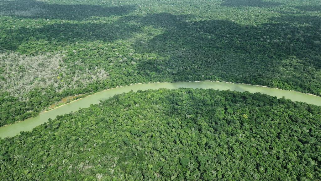 Deutschland gibt viel Geld für einen neuen Tropenwaldfonds. - Foto: Larissa Schwedes/dpa