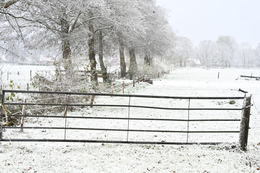 Weiteren Schnee sagt der Deutsche Wetterdienst frühestens am Sonntag vorher. - Foto: Lars Penning/dpa