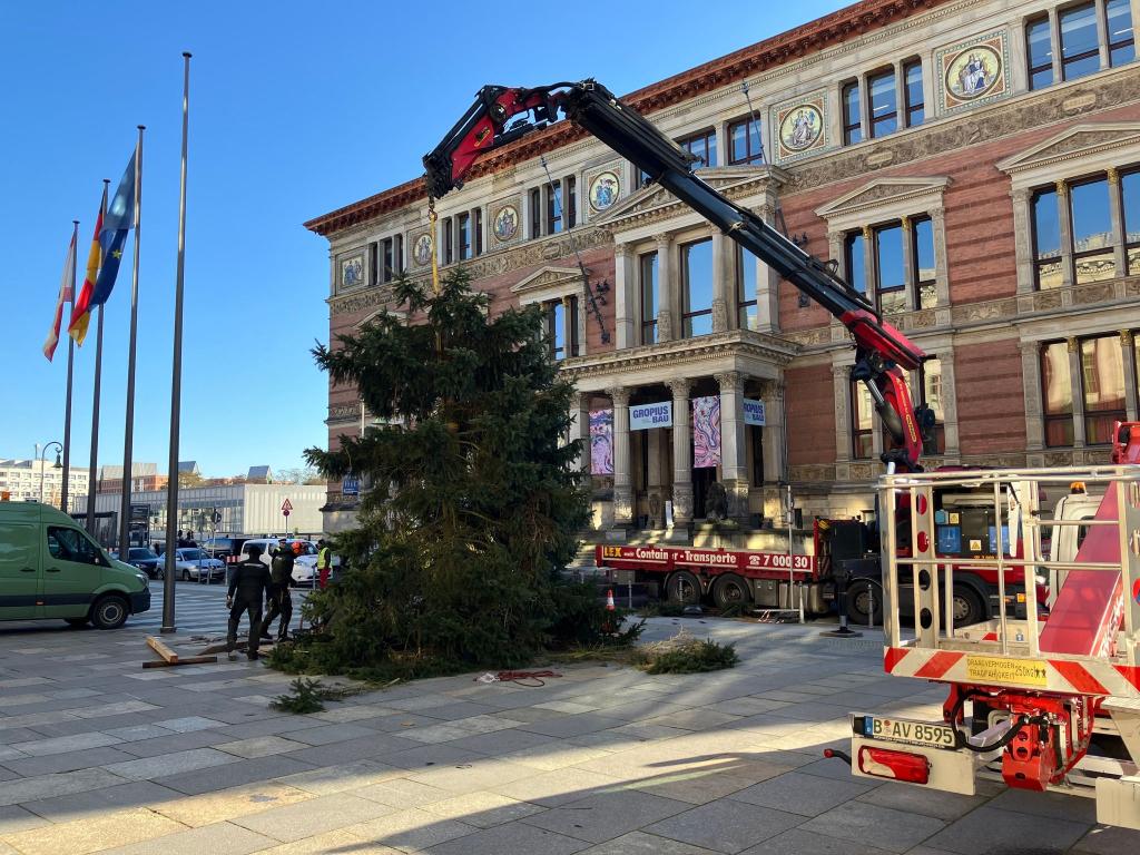 Pannen mit Weihnachtsbäumen sind in Berlin keine Seltenheit. - Foto: Stefan Kruse/-/dpa