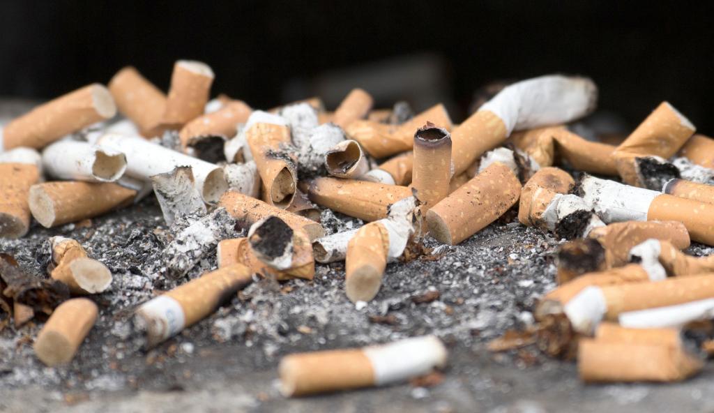 Billionen von Zigarettenkippen landen jedes Jahr in der Umwelt. (Symbolbild) - Foto: Ralf Hirschberger/dpa-Zentralbild/dpa
