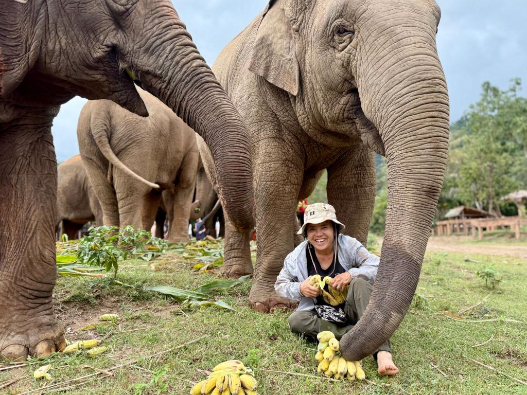 Saengduean «Lek» Chailert verbringt täglich viel Zeit mit ihren Elefanten. - Foto: Carola Frentzen/dpa