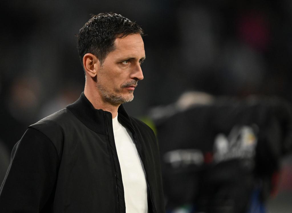 In seiner dritten Saison: Dino Toppmöller. (Archivbild) - Foto: Arne Dedert/dpa