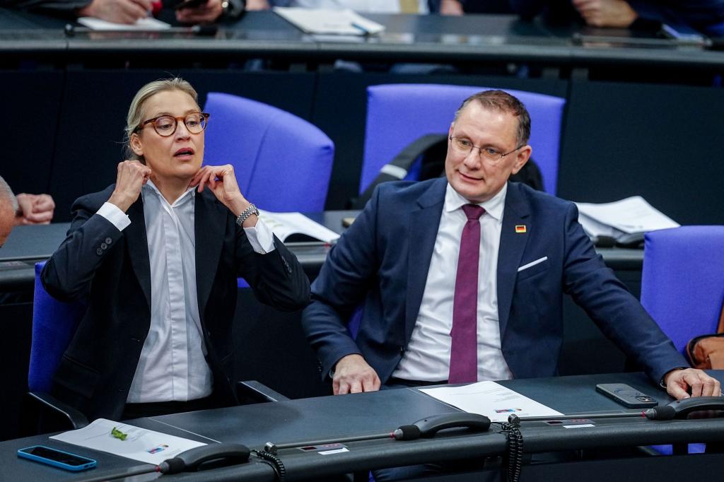 Die Gespräche von Alice Weidel, Co-Fraktionsvorsitzende und Co-Parteichefin der AfD, mit Unternehmern finden nach Angaben ihres Sprechers bislang meist im vertraulichen Rahmen statt. - Foto: Kay Nietfeld/dpa