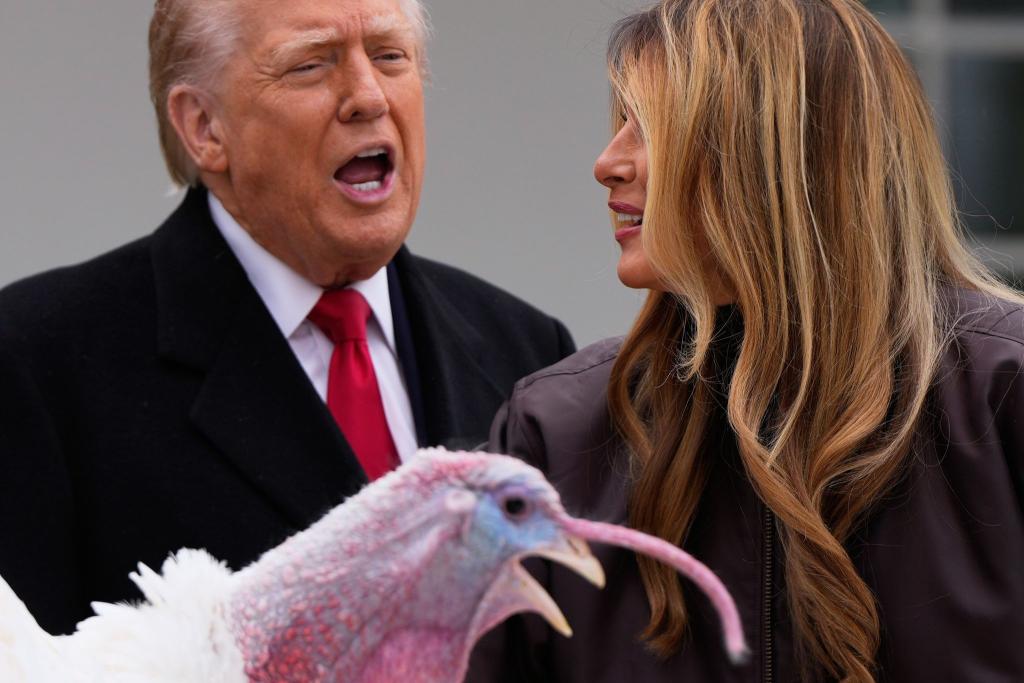 Trump begnadigt Truthahn vor Thanksgiving. - Foto: Julia Demaree Nikhinson/AP/dpa