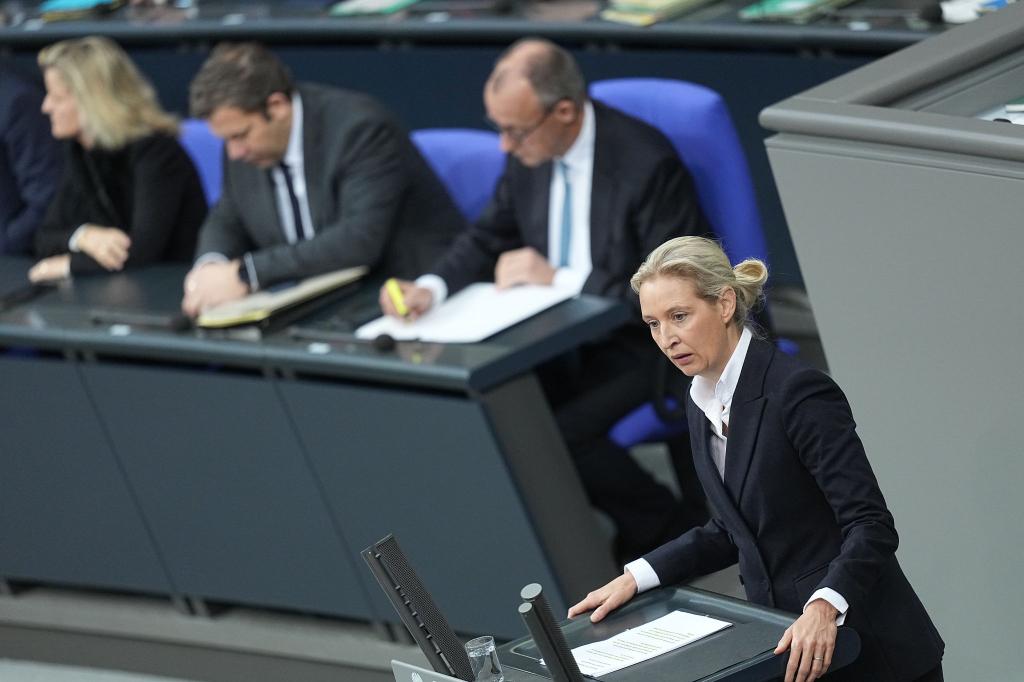 AfD-Chefin Alice Weidel zählte Probleme in den Bereichen Sozialstaat, Migration, Wirtschaft und Staatsfinanzen auf. - Foto: Michael Kappeler/dpa