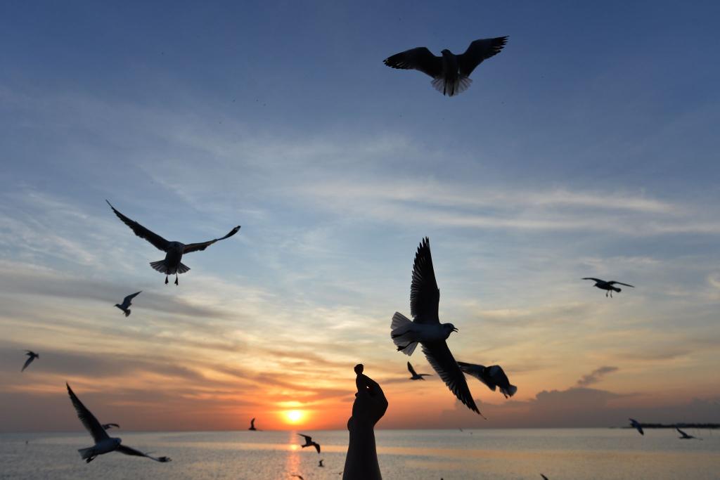 Sonnige Reiseziele sind laut Dertour besonders gefragt. (Archivbild) - Foto: Rachen Sageamsak/XinHua/dpa