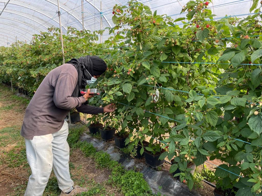 Die befreiten Migranten wurden laut Polizei oft geschlagen. - Foto: -/Portugiesische Kriminalpolizei Polícia Judiciária PJ/dpa
