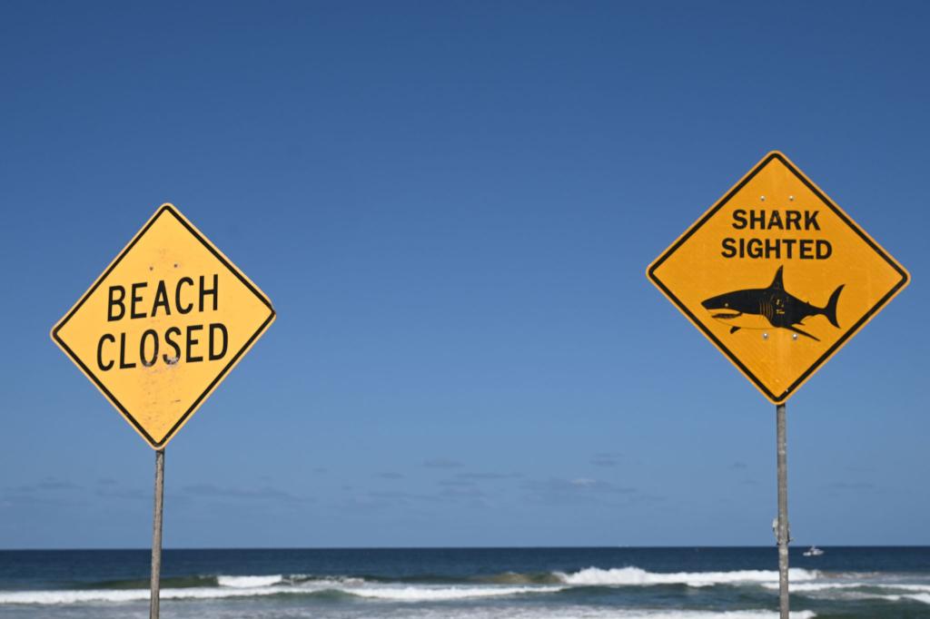 Die Strände in der Region wurden zunächst gesperrt. (Symbolbild) - Foto: Dean Lewins/AAP/dpa