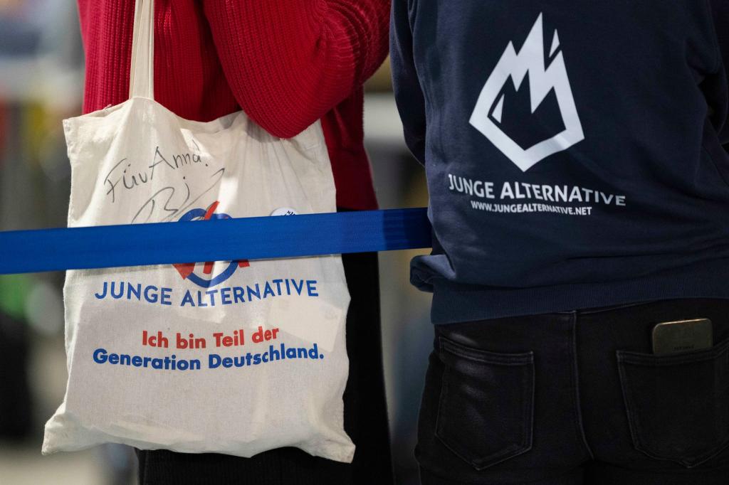 Die Junge Alternative ist Geschichte. Die neue AfD-Jugendorganisation soll «Generation Deutschland» heißen. (Archivbild) - Foto: Sebastian Kahnert/dpa