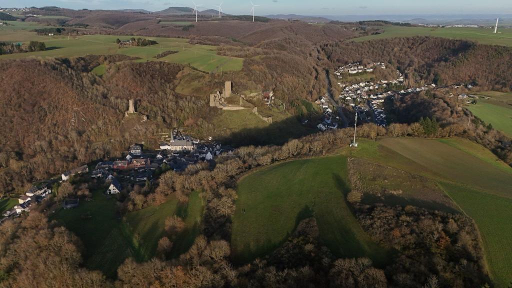 In einem Waldgebiet bei Monreal wurde die Leiche gefunden. - Foto: Sascha Ditscher/dpa