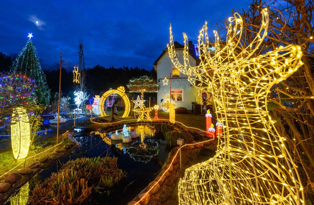 Es weihnachtet im Garten von Familie Muschner in Ostbrandenburg. - Foto: Patrick Pleul/dpa