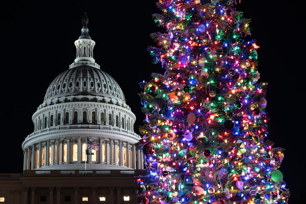 Der Weihnachtsbaum des US-Kapitols, eine Rottanne aus dem Humboldt-Toiyabe National Forest in Nevada, wird beleuchtet. - Foto: J. Scott Applewhite/AP/dpa