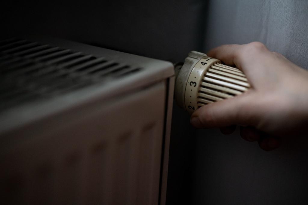 Besser mal runterdrehen - Heizen kann teuer sein. (Symbolbild) - Foto: Fabian Sommer/dpa