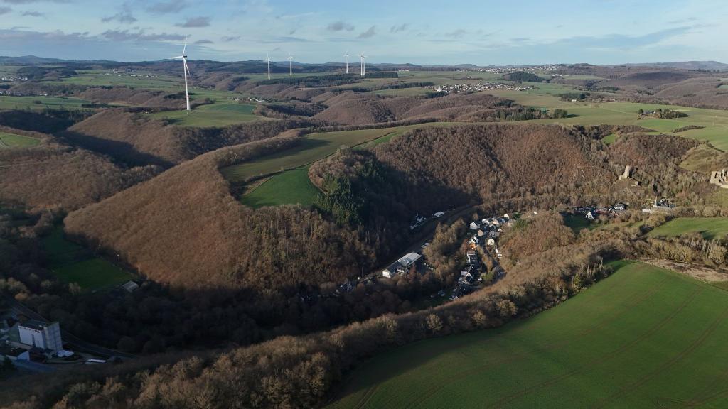 Die Leiche wurde in einem Waldstück bei Monreal entdeckt. (Archivbild) - Foto: Sascha Ditscher/dpa