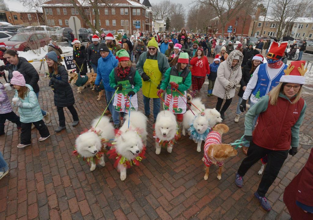 Hunde und ihre Besitzer ziehen während der jährlichen Reindog Parade durch die Innenstadt. - Foto: DON CAMPBELL/The Herald-Palladium/AP/dpa