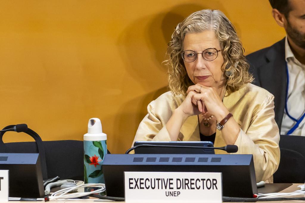 Inger Andersen, Exekutivdirektorin des UN-Umweltprogramms, stellte den globalen Umweltausblick vor. (Archivbild) - Foto: Salvatore Di Nolfi/KEYSTONE/dpa