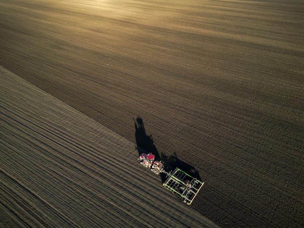 Die Bauern befürchten schwierige Geschäftsbedingungen 2026. (Archivbild) - Foto: Jan Woitas/dpa