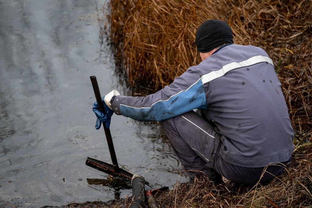 Aufräumen nach dem Unglück: Arbeiter bei Gramzow. - Foto: Fabian Sommer/dpa