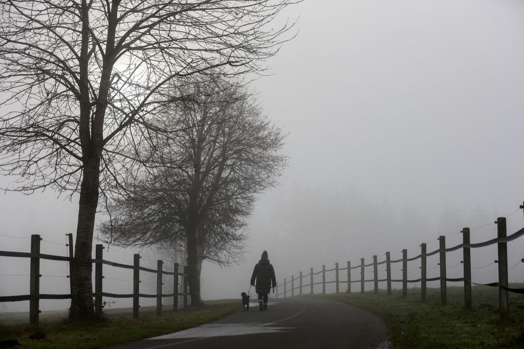 Das trübe Wetter setzt sich fort. (Archivbild) - Foto: Thomas Warnack/dpa