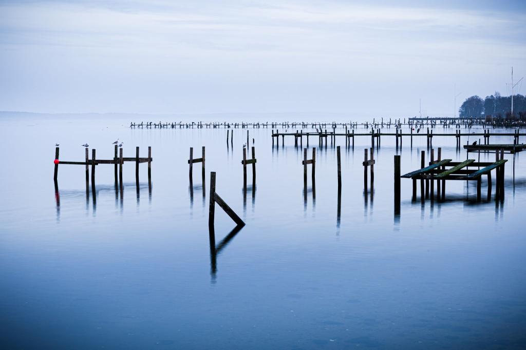 Wasserlandschaft: Pfähle einer abgebauten Steganlage ragen aus dem Steinhuder Meer. - Foto: Moritz Frankenberg/dpa
