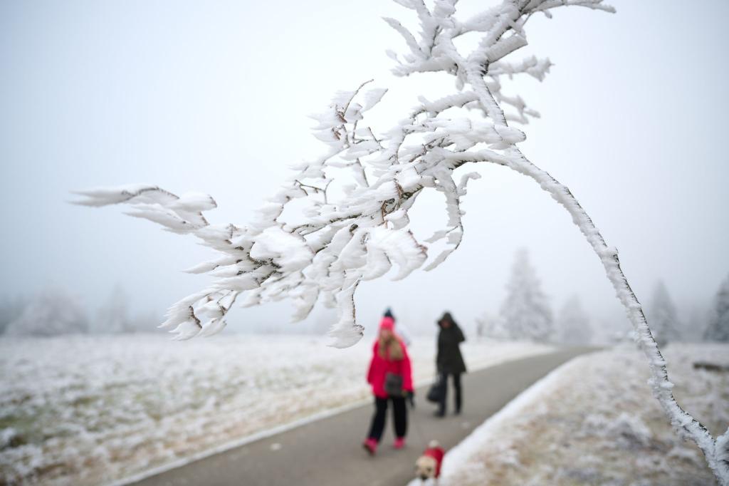 Schnee zu Weihnachten wird es nur vereinzelt geben. - Foto: Bernd Thissen/dpa