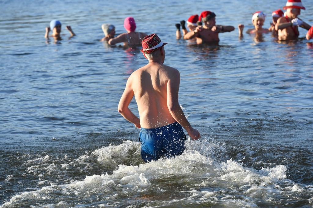 Nicht nur an Weihnachten und Neujahr baden die Berliner Seehunde bei eiskalten Temperaturen im Berliner Orankesee. - Foto: Paul Zinken/dpa