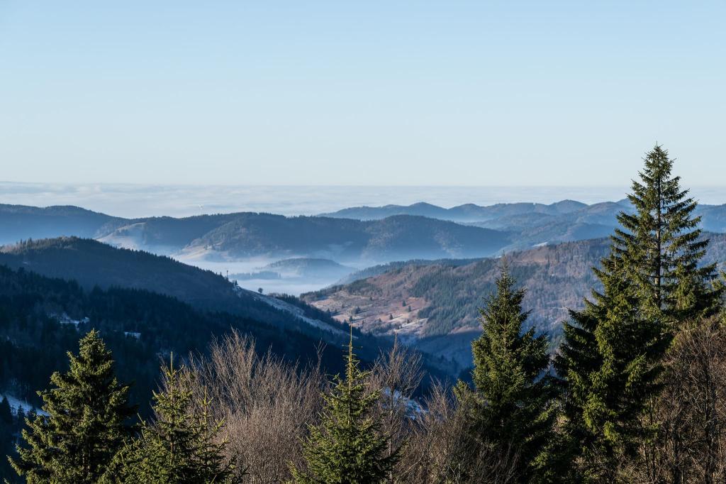 Zum Start in das letzte Wochenende des Jahres kommt etwas mildere Luft nach Deutschland - Foto: Silas Stein/dpa