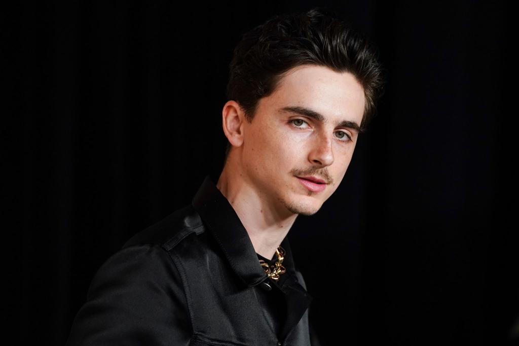 Timothée Chalamet gilt aktuell als einer der gefragtesten Schauspieler Hollywoods (Archivbild). - Foto: Jordan Strauss/Invision/dpa