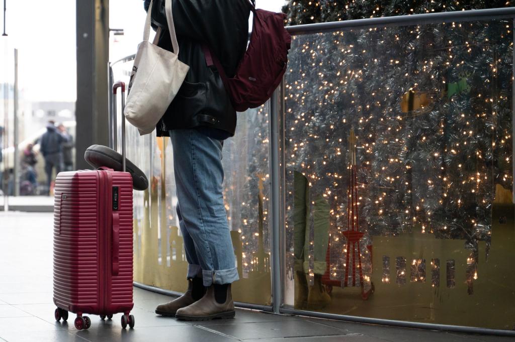 Bahn zufrieden: Über Weihnachten waren die Züge gut ausgelastet und ziemlich pünktlich. (Archivbild) - Foto: Markus Lenhardt/dpa