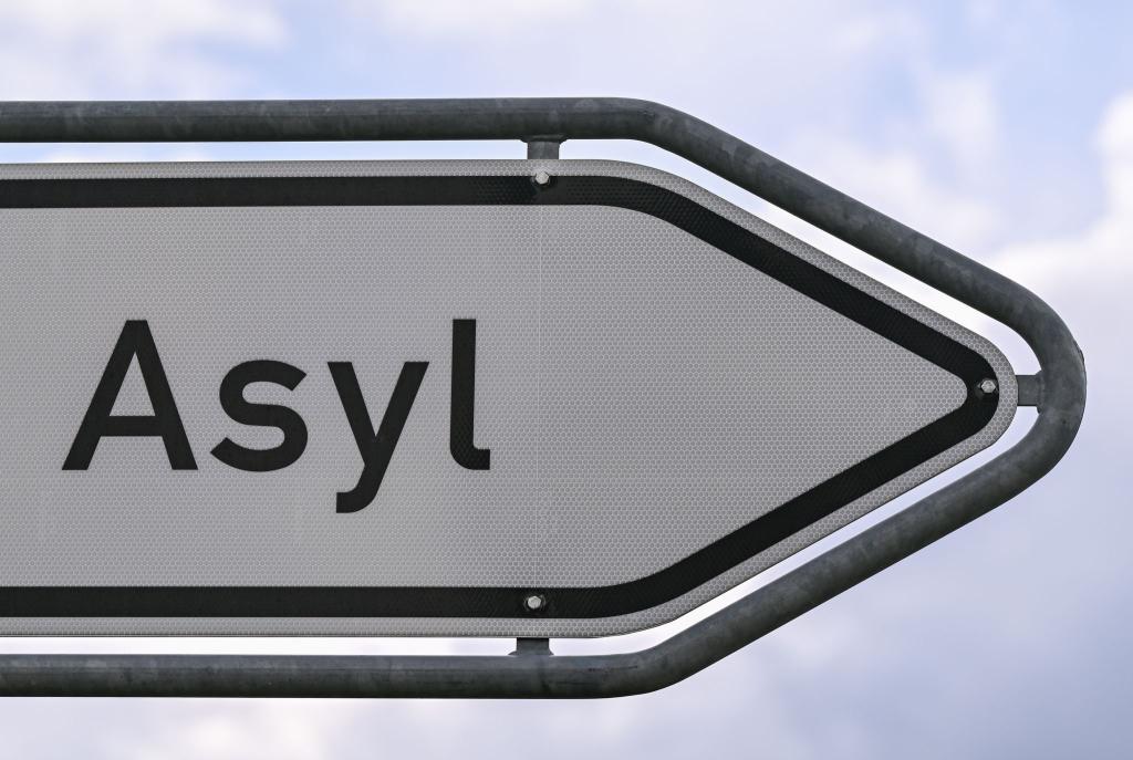 Für die meisten Syrer entfällt nach Ansicht der CSU nach dem Ende des Bürgerkriegs der Schutzgrund. (Symbolbild) - Foto: Patrick Pleul/dpa