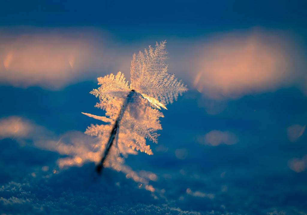 Eisige Temperaturen können für Menschen ohne Wohnung lebensgefährlich sein. - Foto: Patrick Pleul/dpa