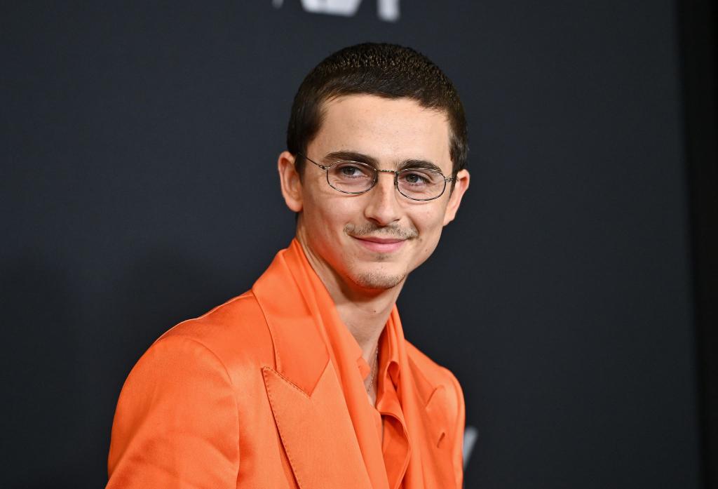 Timothée Chalamet geht ungewöhnliche Wege, um seinen aktuellen Film «Marty Supreme» zu promoten (Archivbild). - Foto: Evan Agostini/Invision/AP/dpa