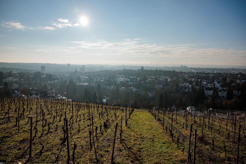 Das Wetter wird erstmal ruhiger. (Archivbild) - Foto: Jörg Halisch/dpa