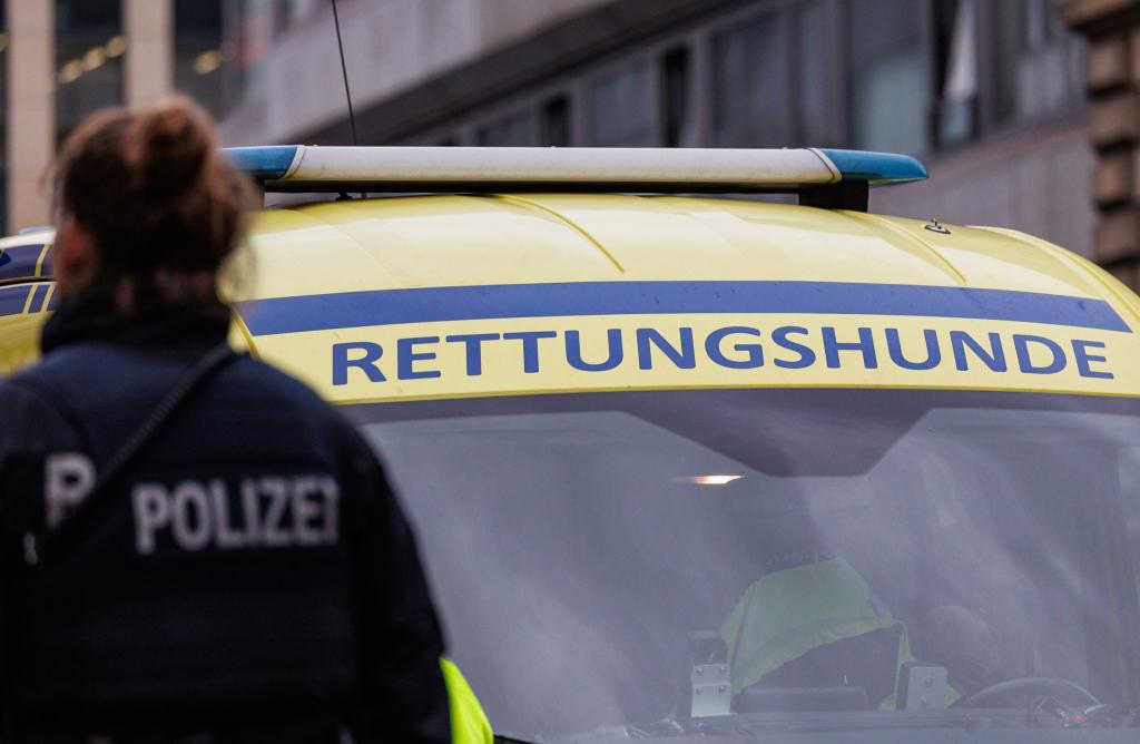 Nach dem verschwundenen Jungen wurde auch mit Spürhunden gesucht. - Foto: Hannes P. Albert/dpa