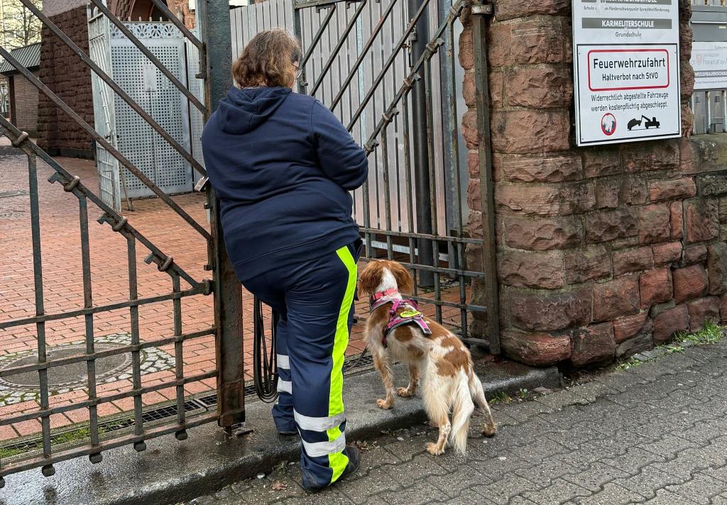 Auch mit Hilfe eines Hundes wurde der Junge gesucht. - Foto: Isabell Scheuplein/dpa