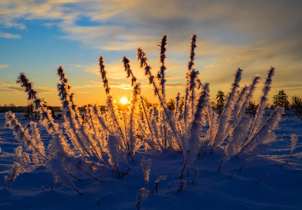 Sonne und kalte Luft erwarten die Meteorologen zum Wochenbeginn. (Archivbild) - Foto: Patrick Pleul/dpa