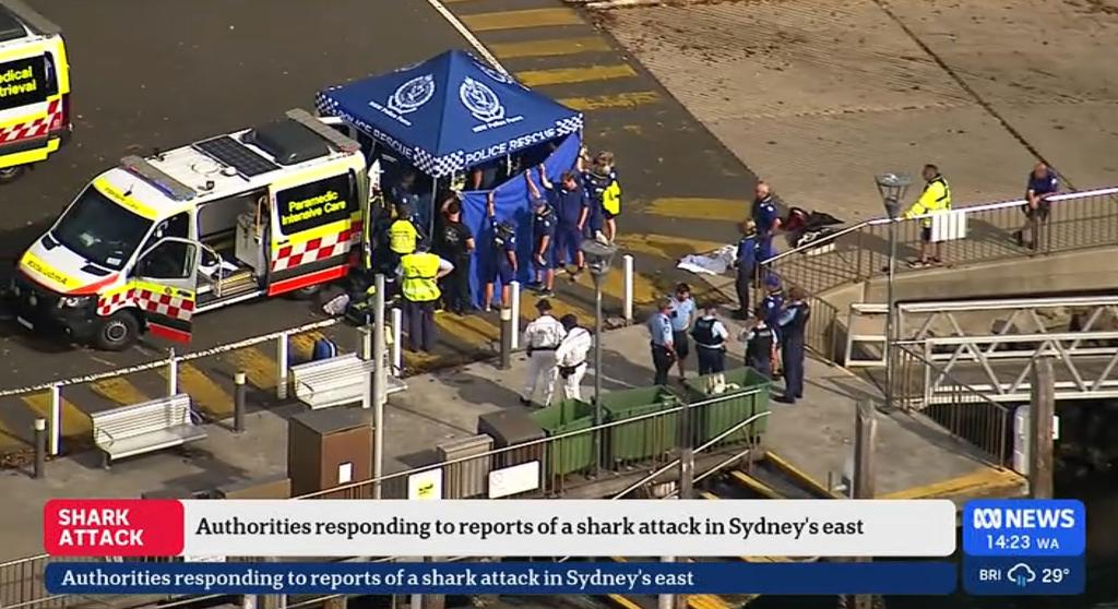 Nach einem mutmaßlichen Haiangriff ist ein Junge in kritischem Zustand. - Foto: Supplied/AUSTRALIAN BROADCASTING CORPORATION (ABC) via AAP Image/dpa