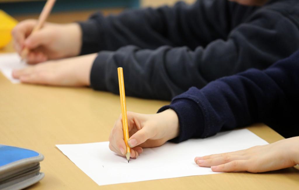 Die Zahl der Schüler mit Einwanderungsgeschichte steigt. (Archivbild) - Foto: picture alliance / Bernd Wüstneck/dpa
