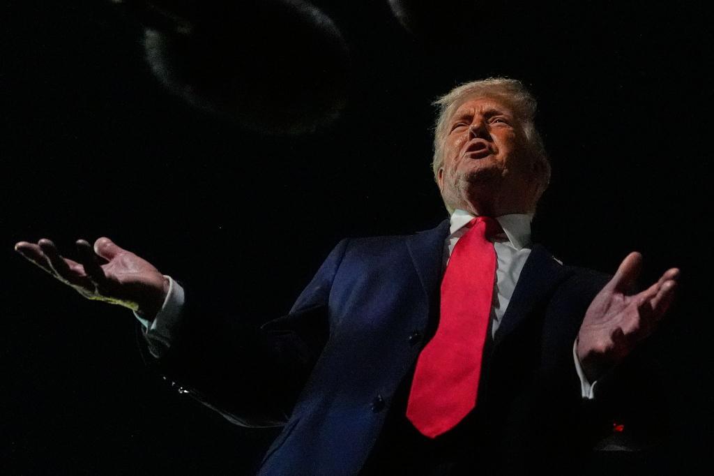 Mit seinen Plänen für eine neue «Friedens-Charta» sorgt US-Präsident Donald Trump für Verwirrung und Sorgen bei seinen Partnern. - Foto: Julia Demaree Nikhinson/AP/dpa